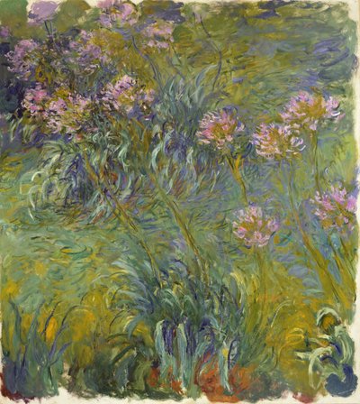 Agapanthus by Claude Monet